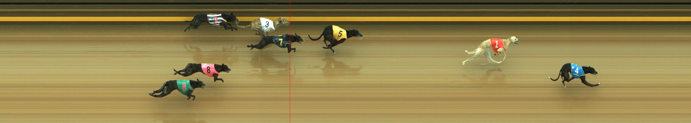 Photo finish for Geelong Race 10