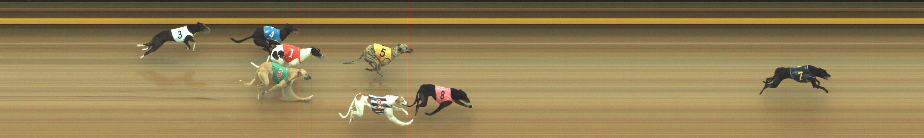 Photo finish for Geelong Race 11