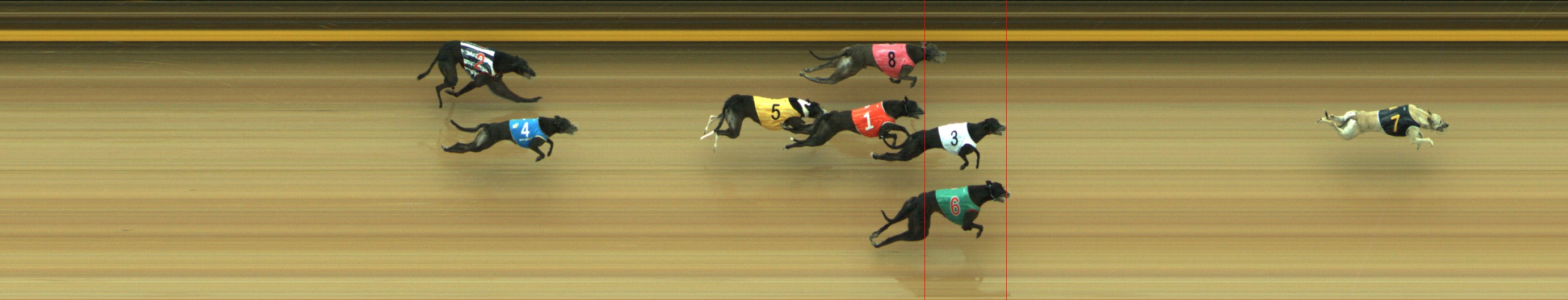 Photo finish for Geelong Race 12
