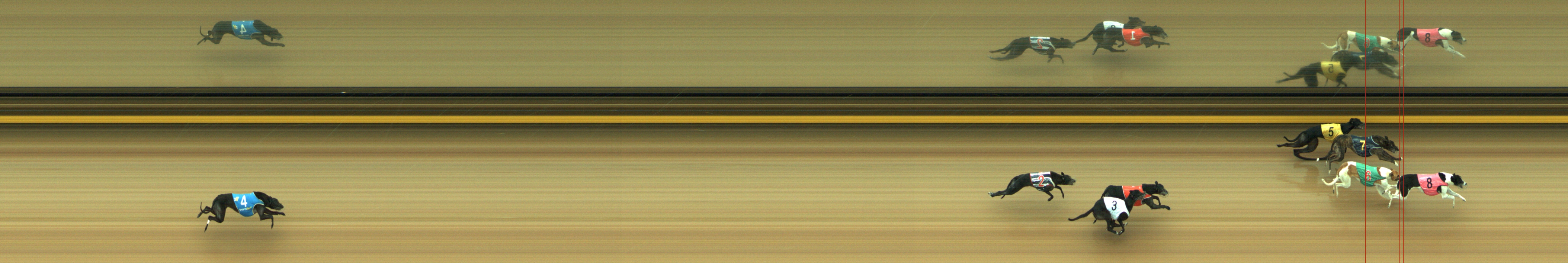 Photo finish for Geelong Race 13