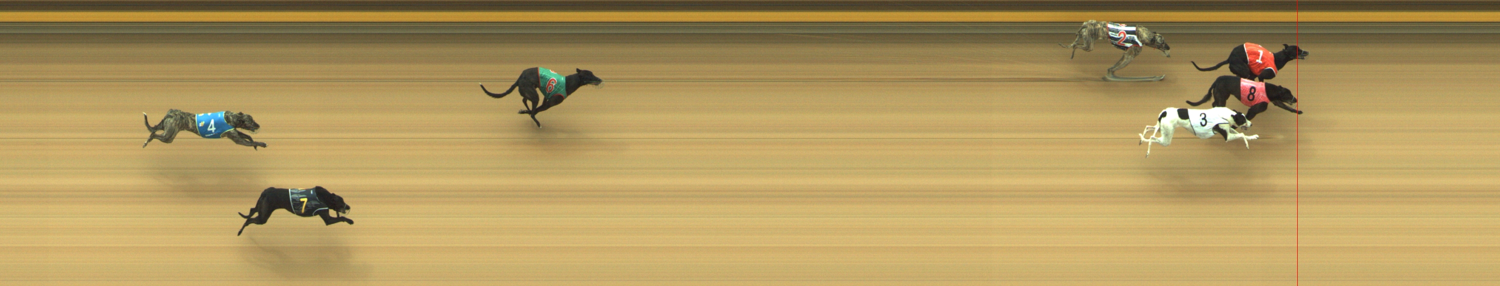 Photo finish for Geelong Race 1
