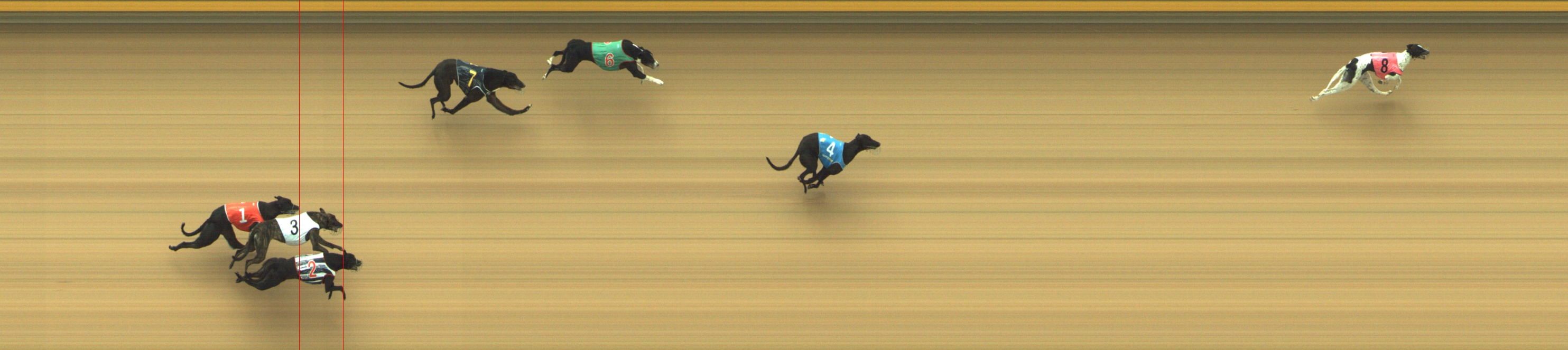 Photo finish for Geelong Race 2