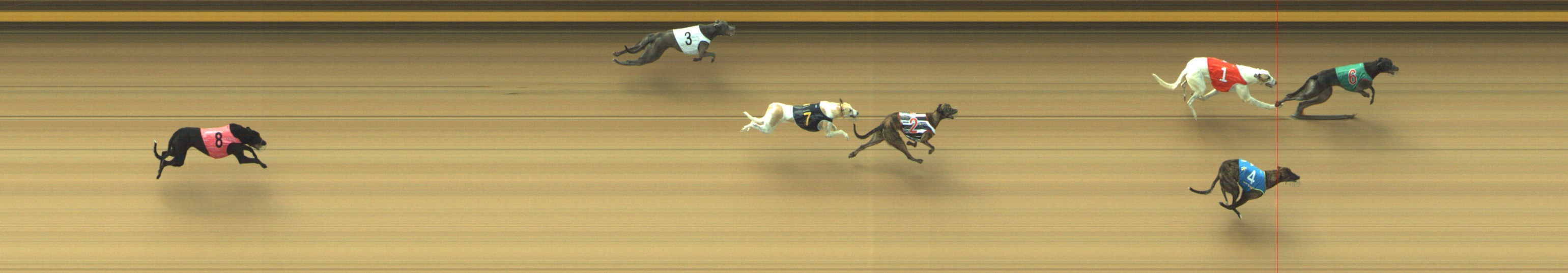 Photo finish for Geelong Race 3