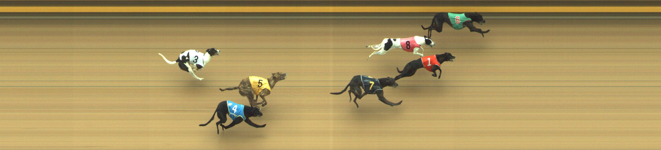 Photo finish for Geelong Race 4
