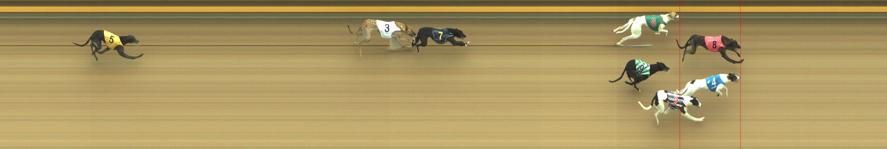 Photo finish for Geelong Race 5