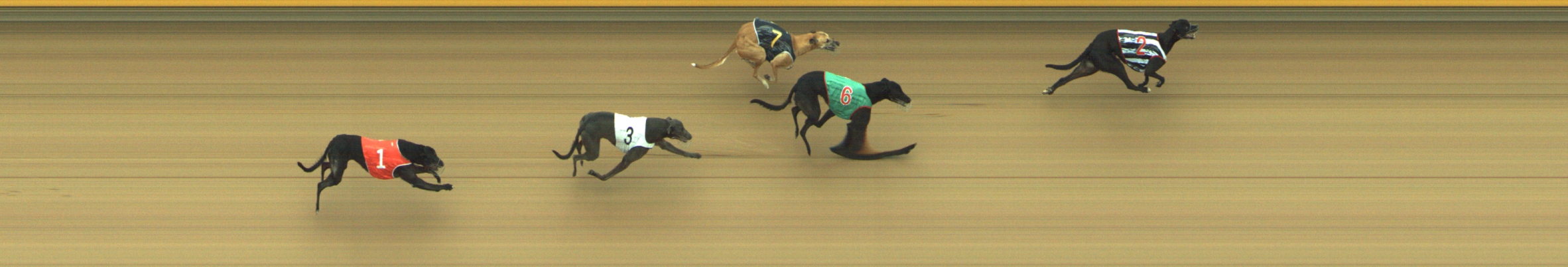 Photo finish for Geelong Race 6