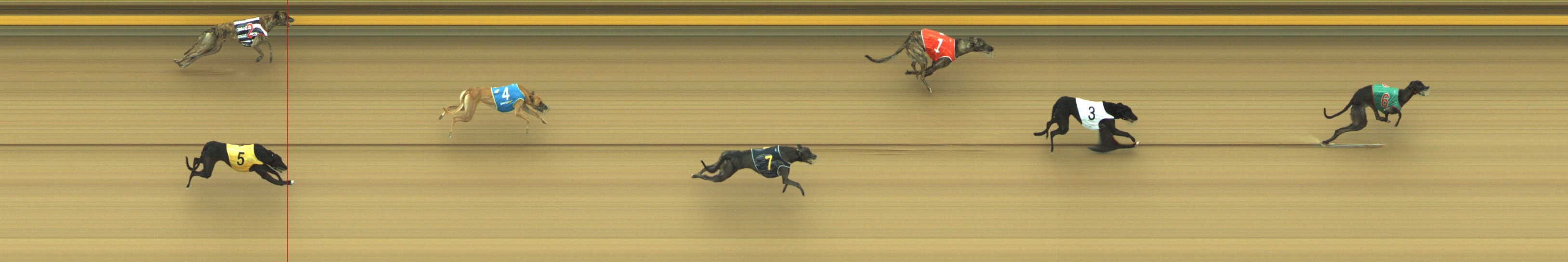 Photo finish for Geelong Race 7