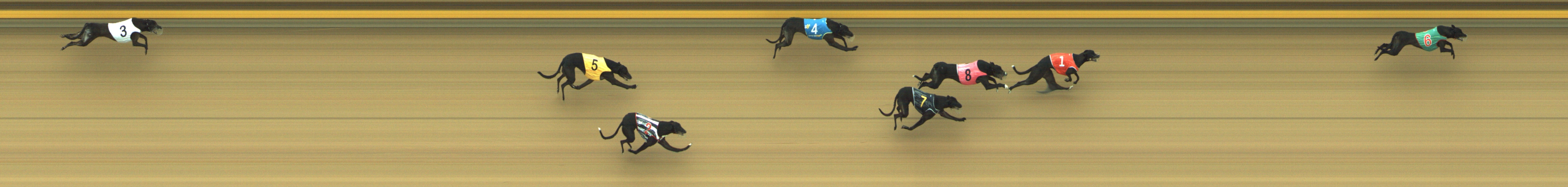 Photo finish for Geelong Race 8