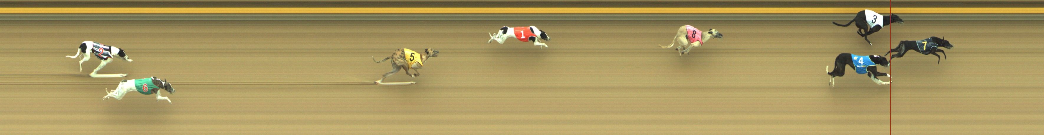 Photo finish for Geelong Race 9