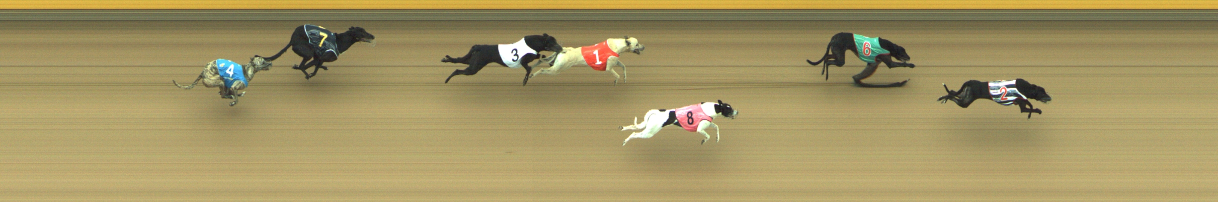 Photo finish for Geelong Race 11