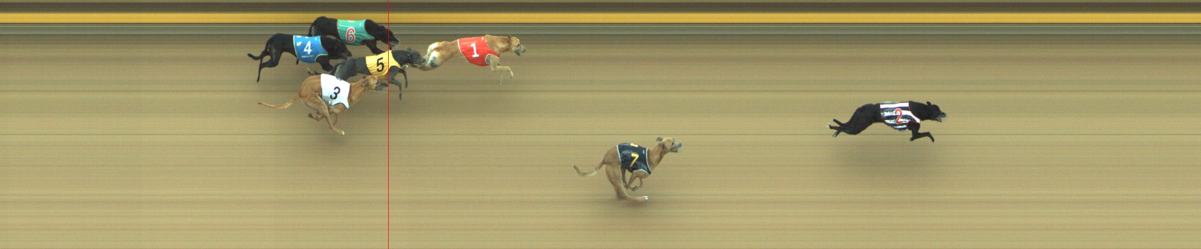 Photo finish for Geelong Race 12