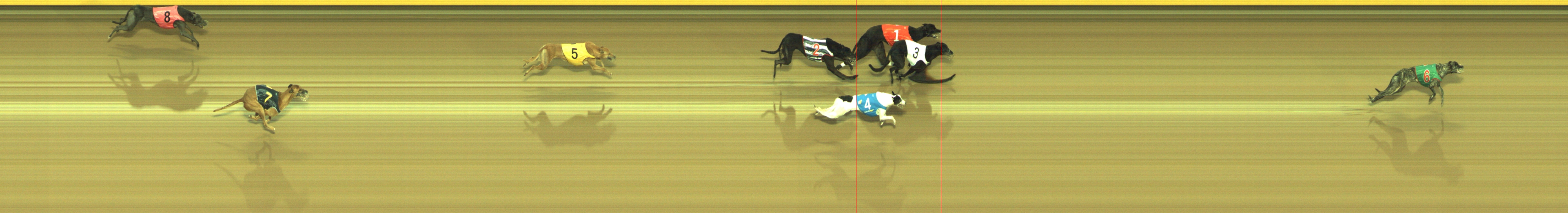 Photo finish for Geelong Race 13