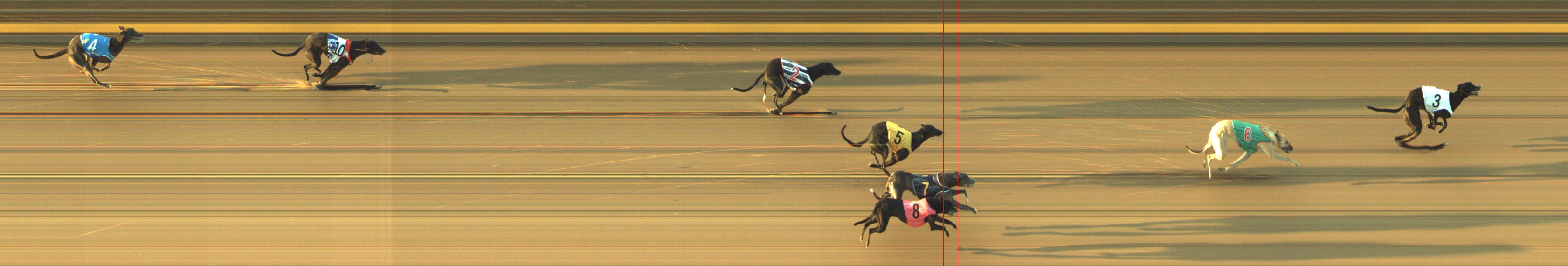 Photo finish for Geelong Race 1