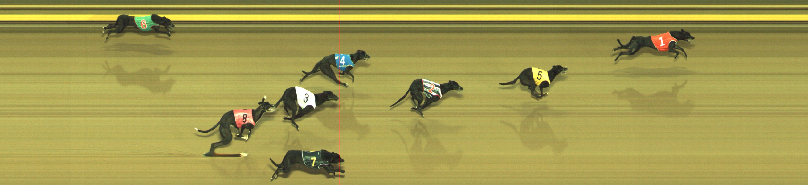 Photo finish for Geelong Race 2