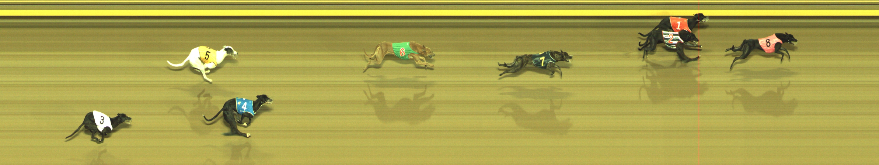 Photo finish for Geelong Race 3