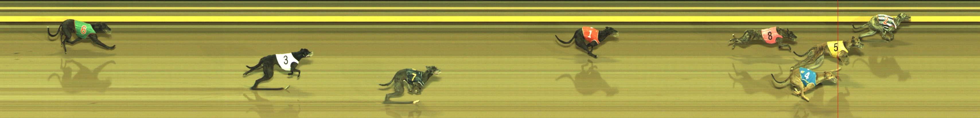 Photo finish for Geelong Race 4