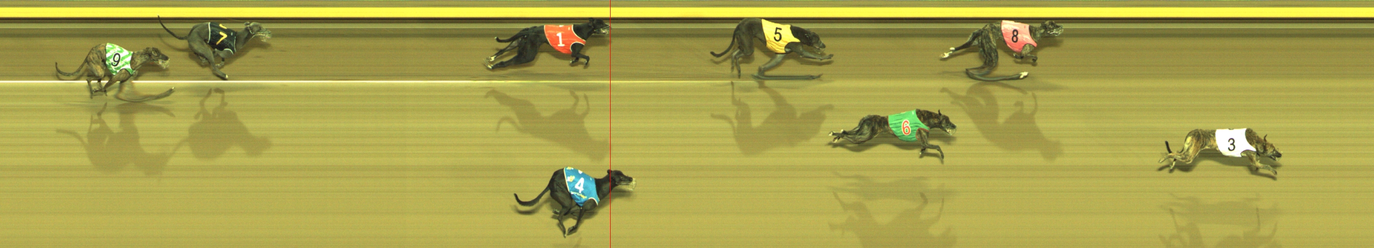 Photo finish for Geelong Race 5