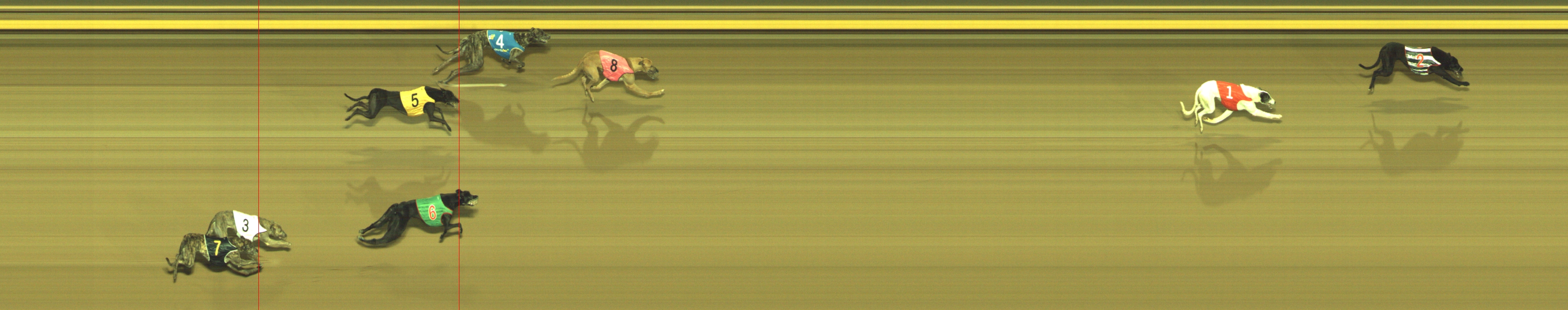 Photo finish for Geelong Race 7
