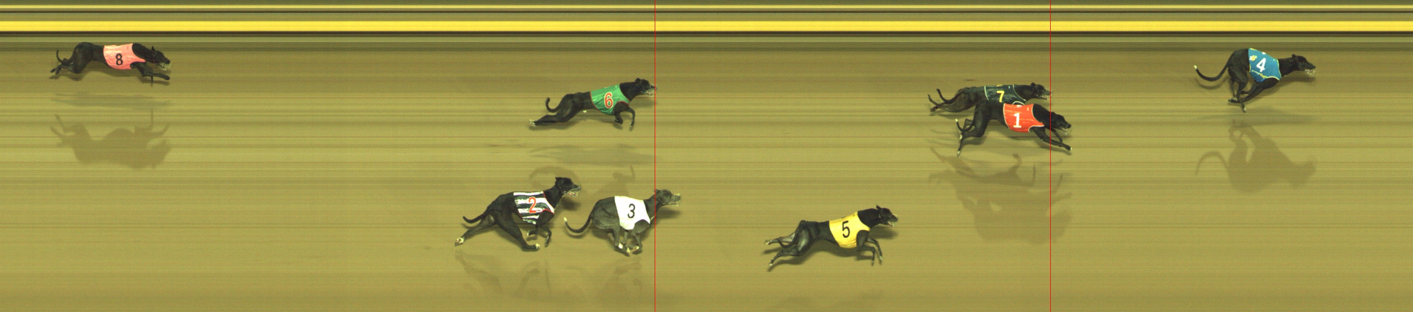 Photo finish for Geelong Race 8
