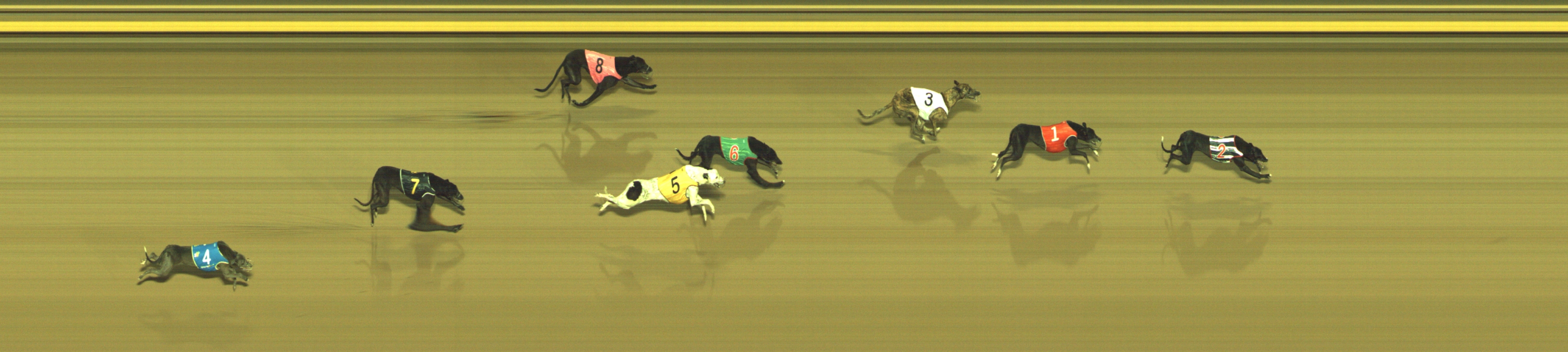 Photo finish for Geelong Race 9