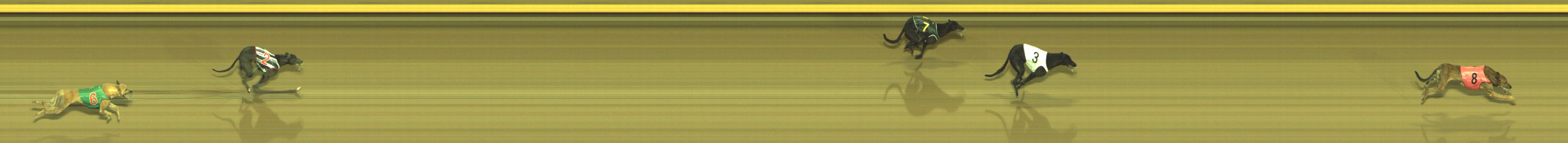 Photo finish for Geelong Race 10