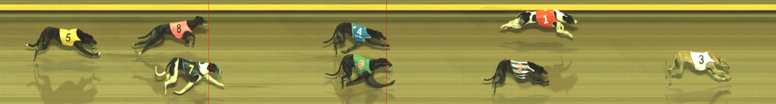 Photo finish for Geelong Race 11