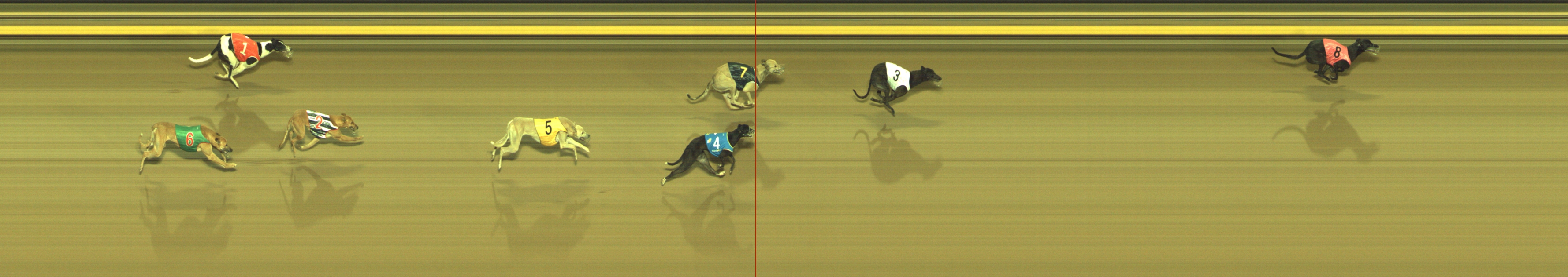 Photo finish for Geelong Race 12