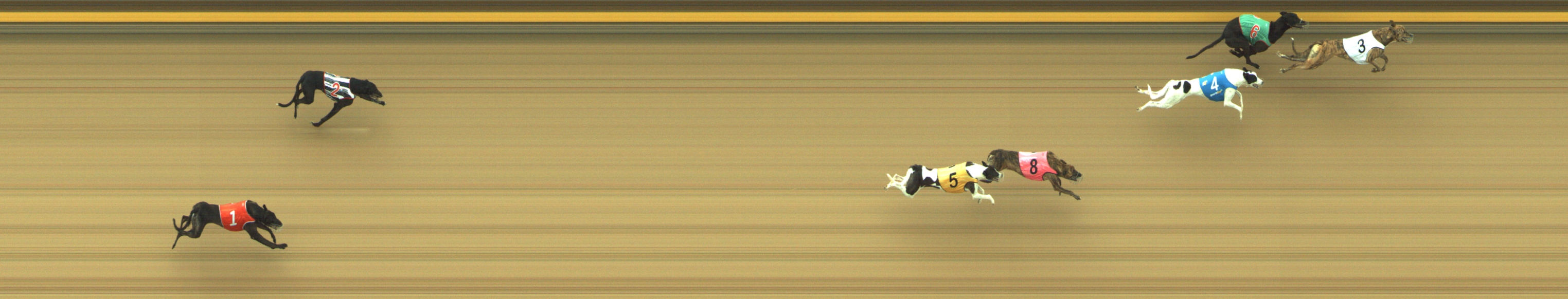Photo finish for Geelong Race 1