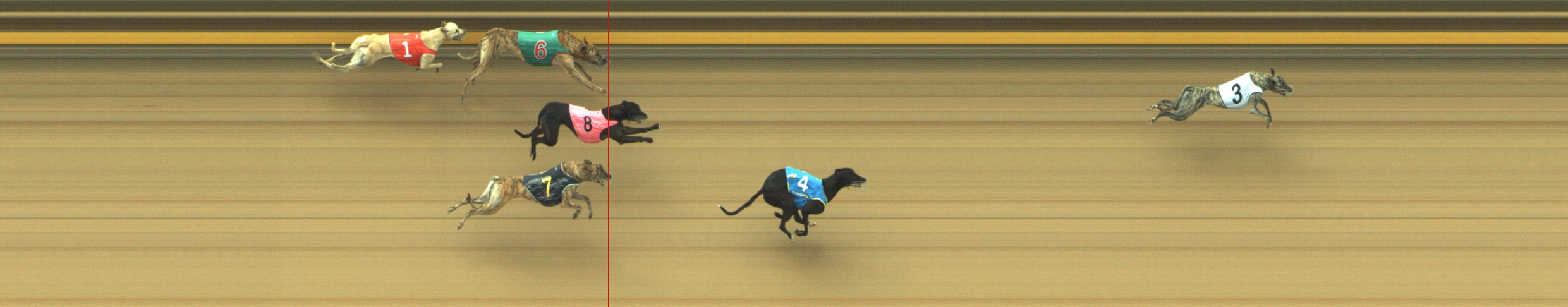 Photo finish for Geelong Race 2