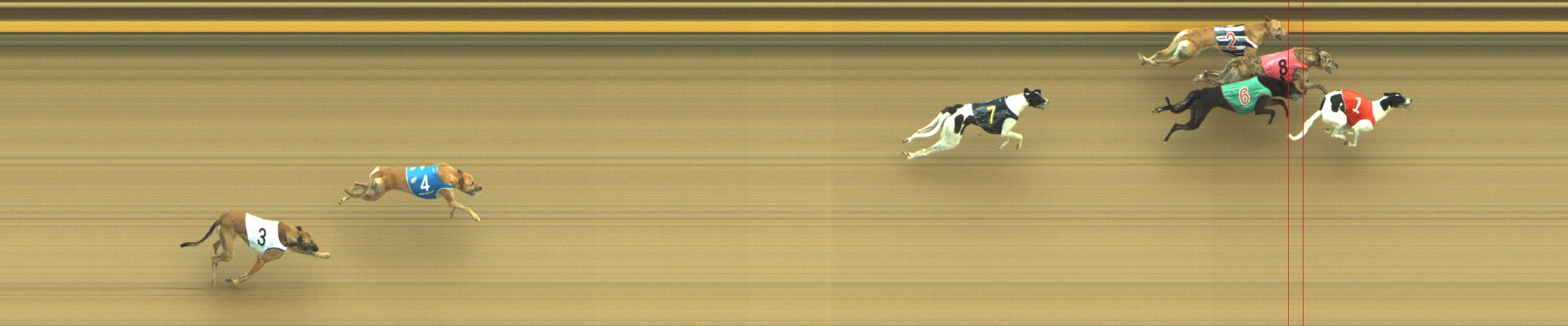Photo finish for Geelong Race 3