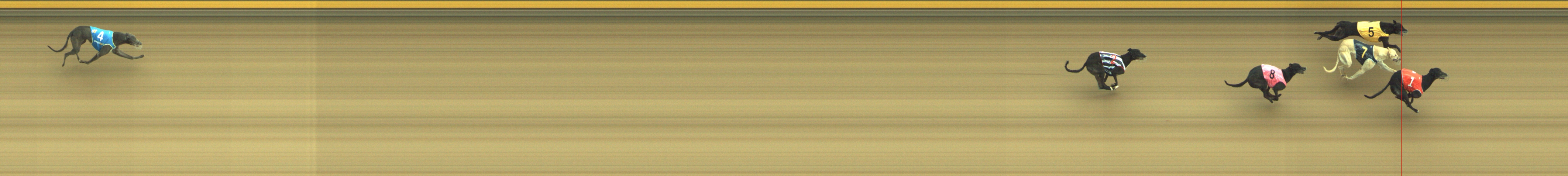 Photo finish for Geelong Race 4