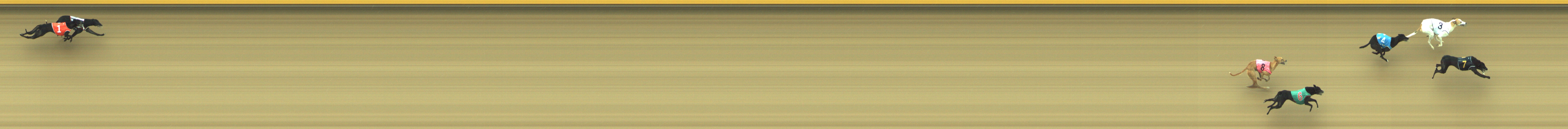 Photo finish for Geelong Race 5