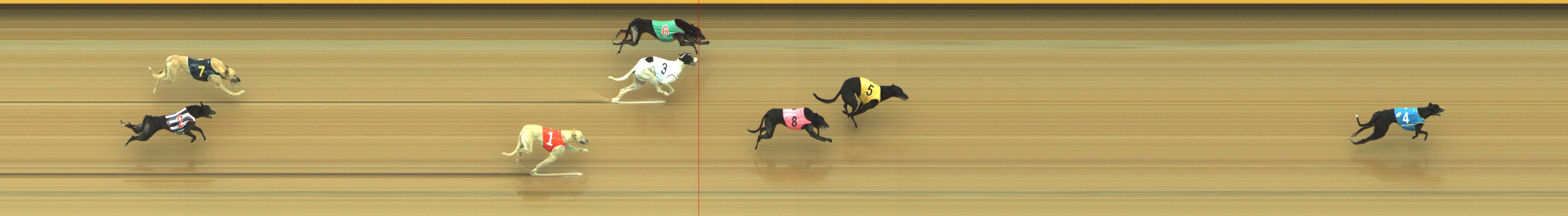 Photo finish for Geelong Race 6