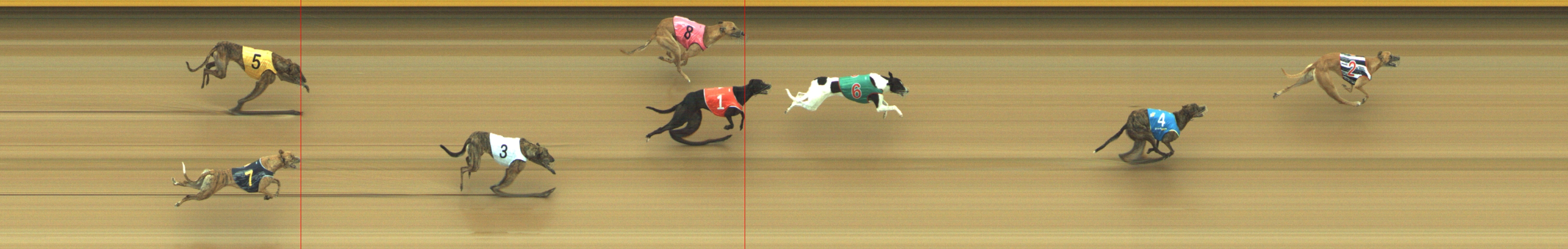 Photo finish for Geelong Race 7