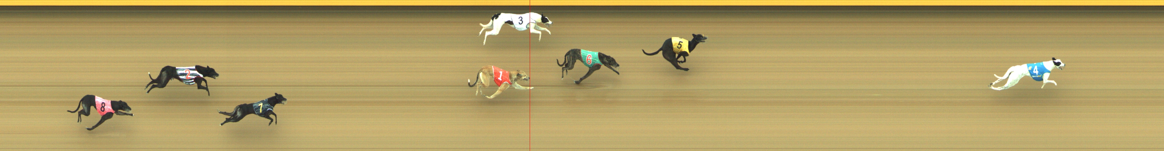 Photo finish for Geelong Race 8