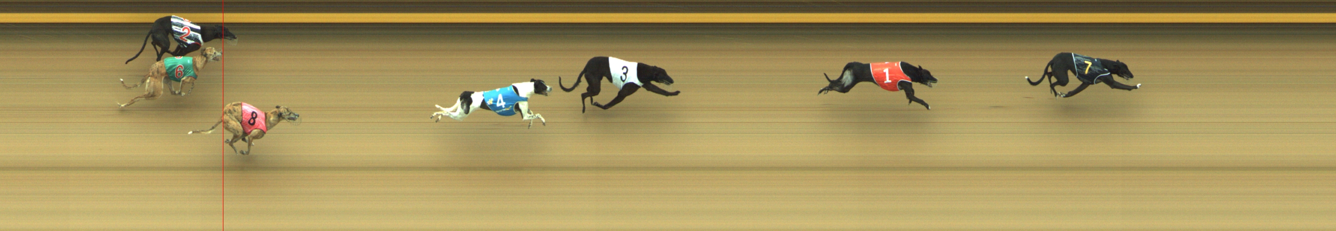Photo finish for Geelong Race 9