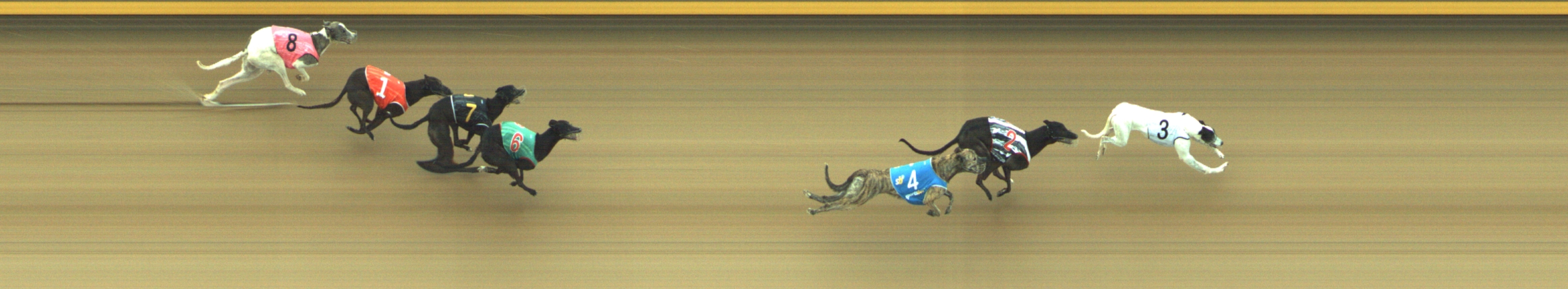 Photo finish for Geelong Race 10