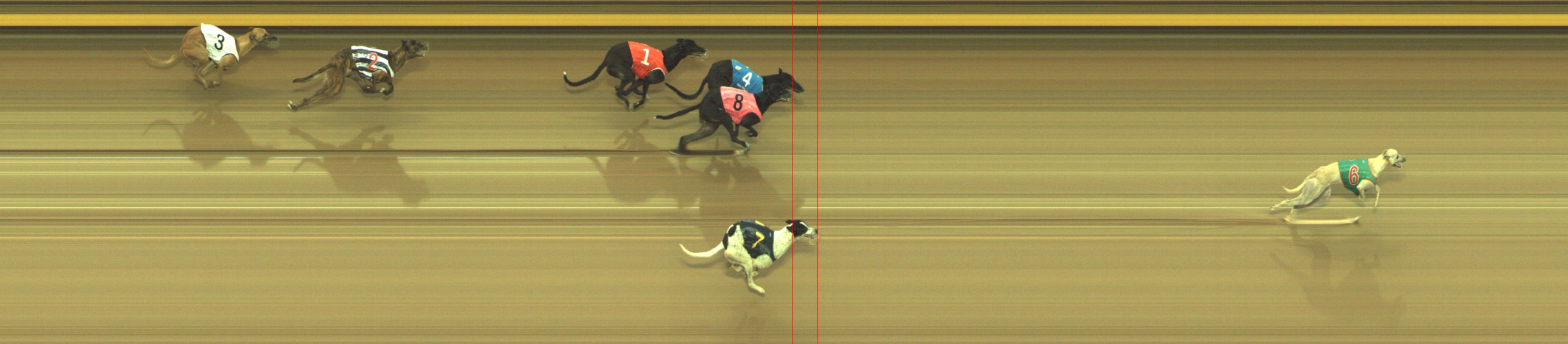 Photo finish for Geelong Race 11