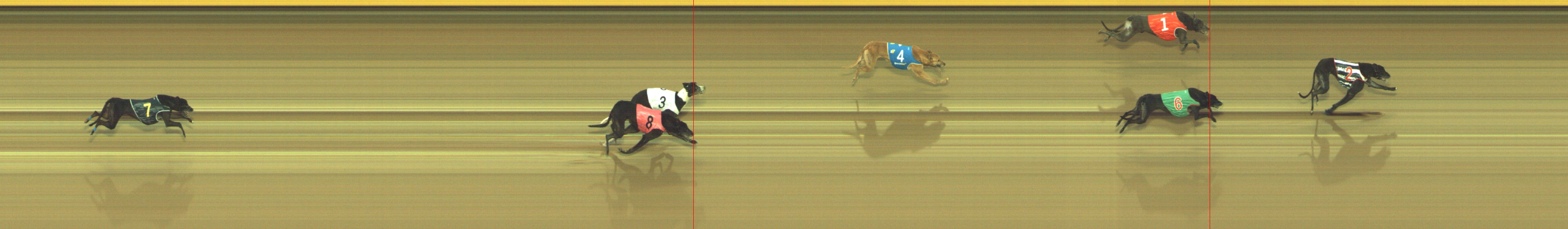 Photo finish for Geelong Race 12