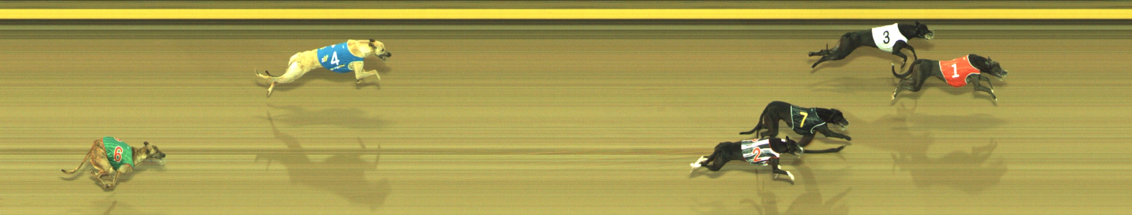 Photo finish for Geelong Race 1