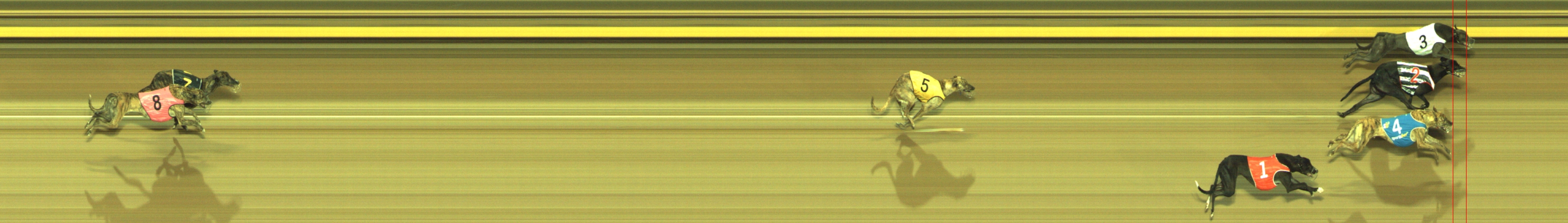Photo finish for Geelong Race 2