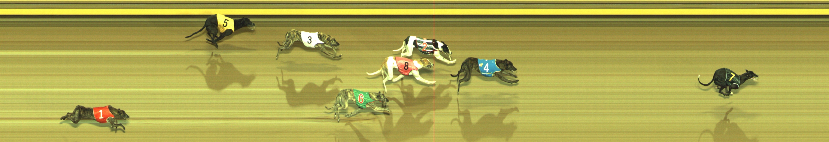 Photo finish for Geelong Race 3