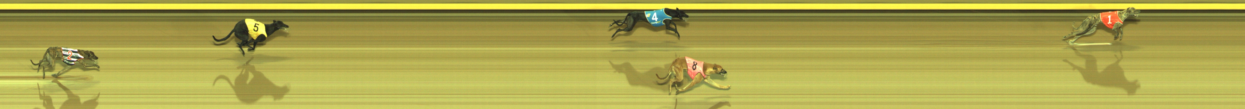 Photo finish for Geelong Race 4