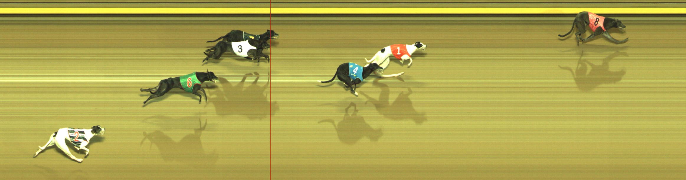 Photo finish for Geelong Race 5