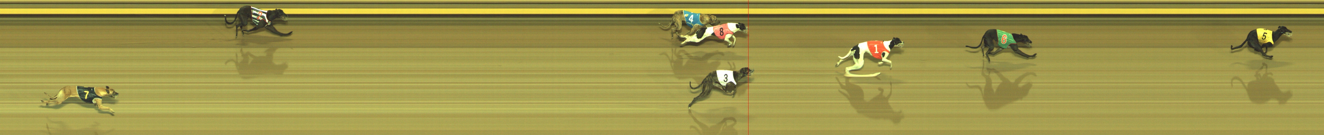 Photo finish for Geelong Race 6