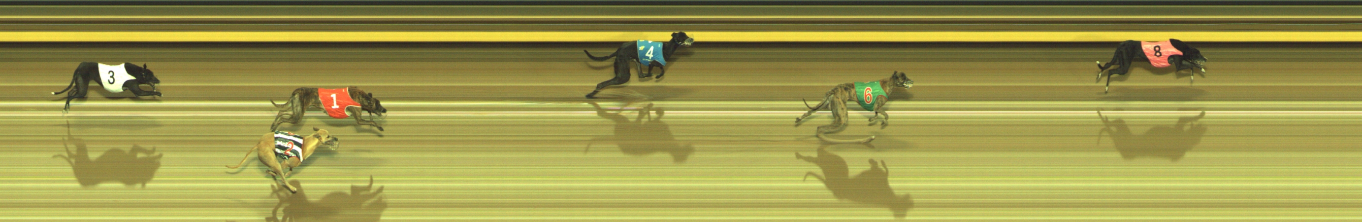 Photo finish for Geelong Race 7