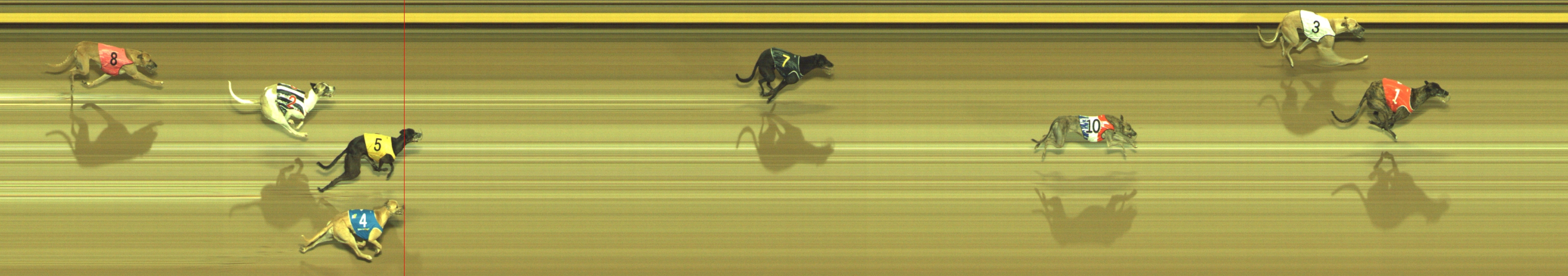 Photo finish for Geelong Race 8