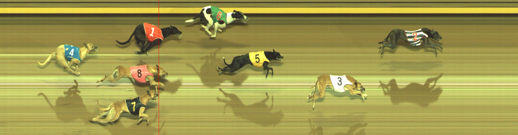 Photo finish for Geelong Race 9