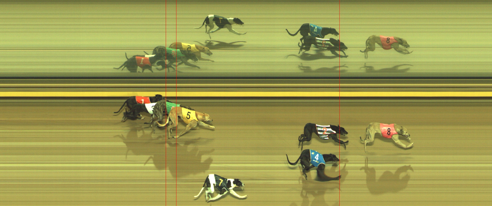 Photo finish for Geelong Race 10
