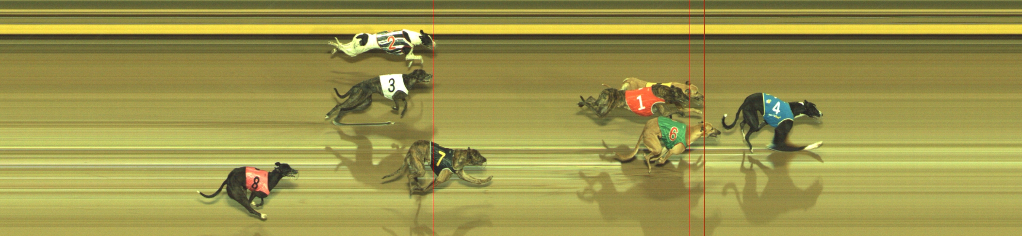 Photo finish for Geelong Race 11